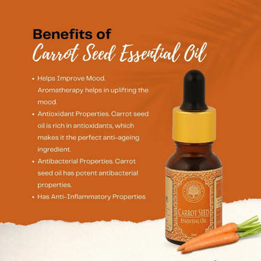 https://cdn.shopify.com/s/files/1/1857/6931/products/hvYLiTMpg9.jpg?v=1663755625